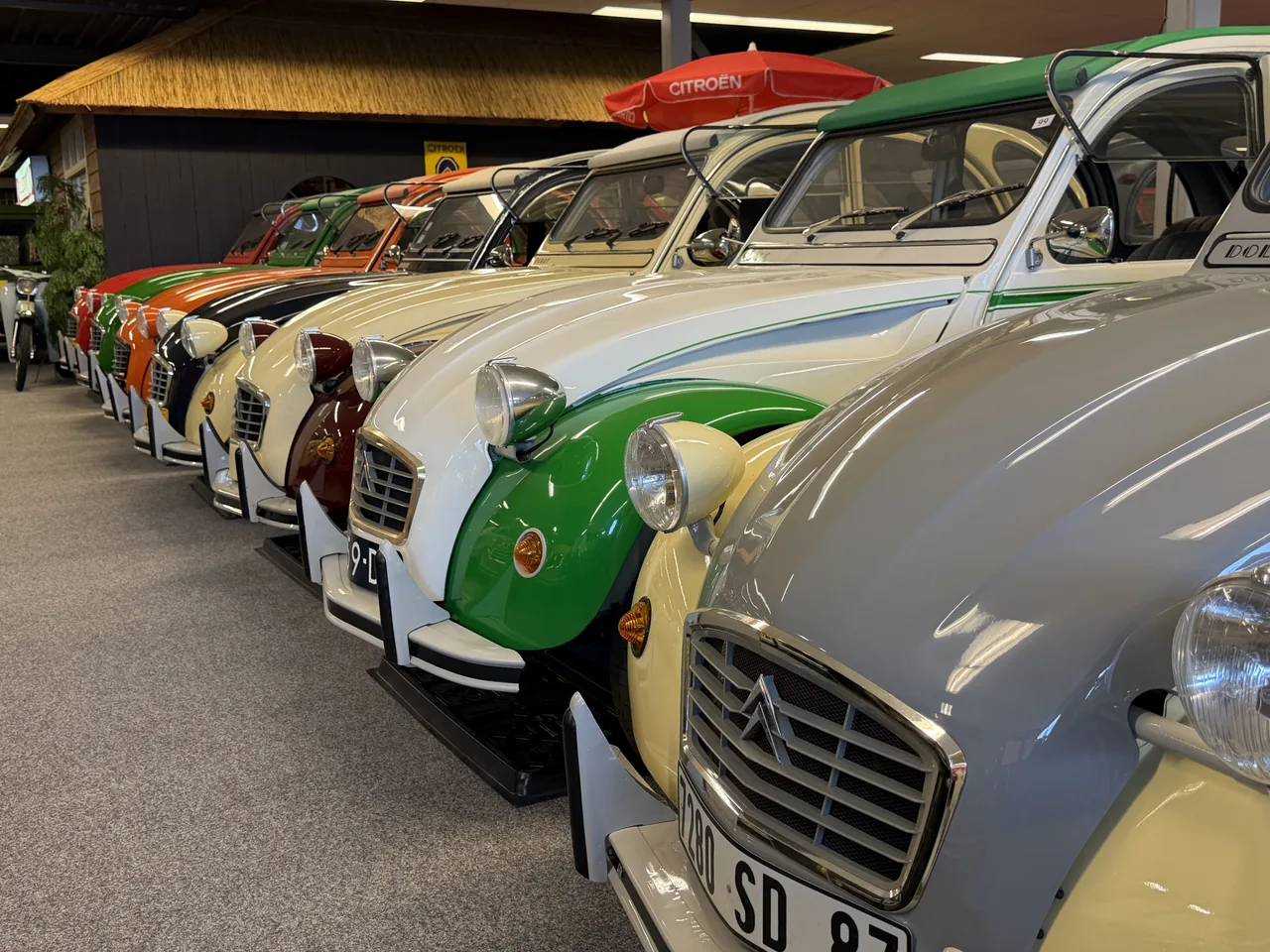 Citroën 2CV’s in verschillende kleuren naast elkaar